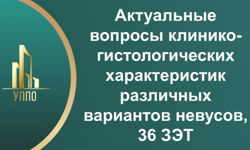 Актуальные вопросы клинико-гистологических характеристик различных вариантов невусов, 36 ЗЭТ