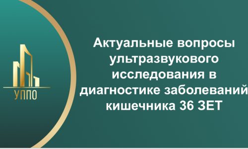 Актуальные вопросы ультразвукового исследования в диагностике заболеваний кишечника 36 ЗЕТ