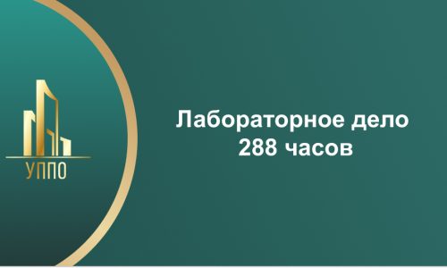 Лабораторное дело 288 часов