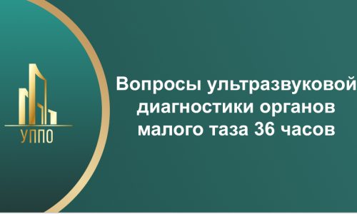 Вопросы ультразвуковой диагностики органов малого таза 36 часов