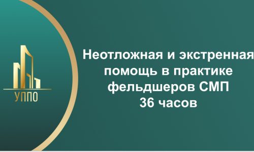 Неотложная и экстренная помощь в практике фельдшеров СМП 36 часов