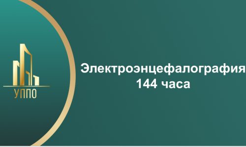 Электроэнцефалография 144 часа