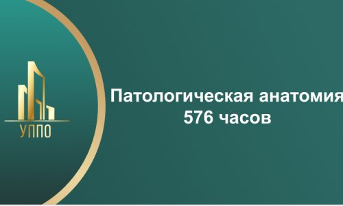 Патологическая анатомия 576 часов