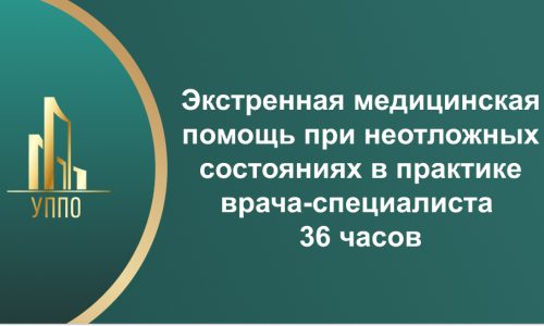 Экстренная медицинская помощь при неотложных состояниях в практике врача-специалиста 36 часов
