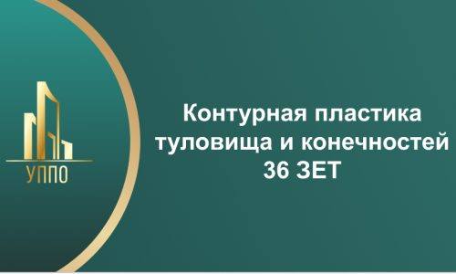 Контурная пластика туловища и конечностей 36 ЗЕТ