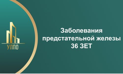 Заболевания предстательной железы 36 ЗЕТ