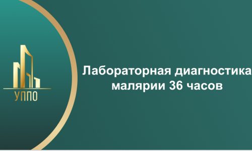 Лабораторная диагностика малярии 36 часов