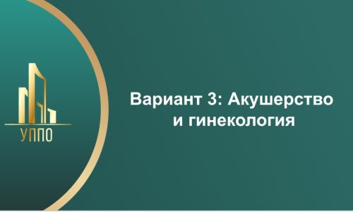 Вариант 3: Акушерство и гинекология