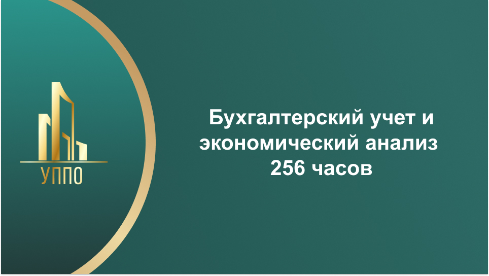Бухгалтерский учет и экономический анализ 256 часов
