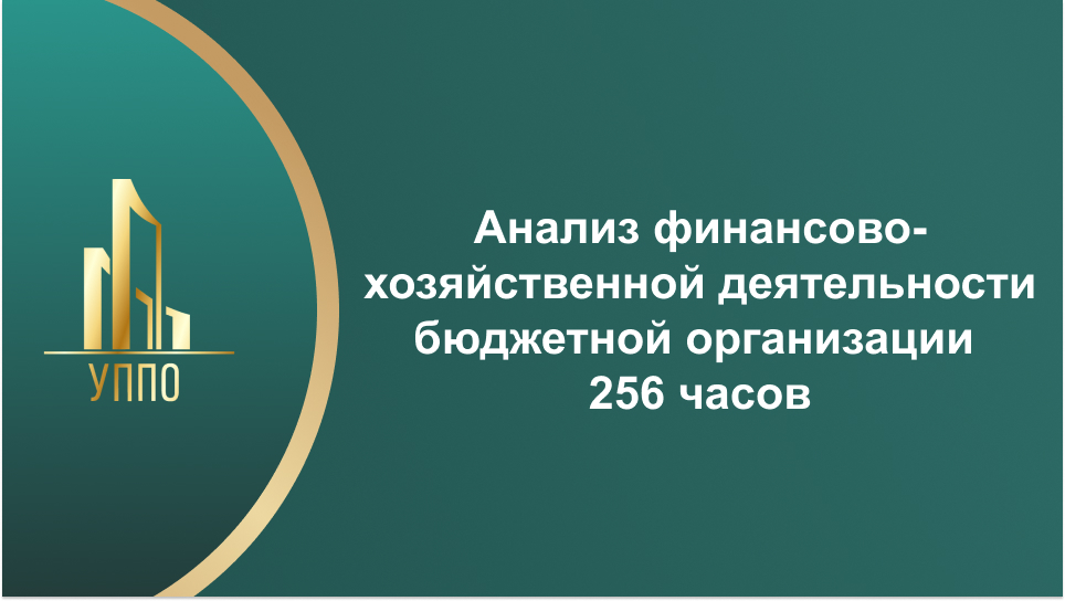 Анализ финансово-хозяйственной деятельности бюджетной организации 256 часов