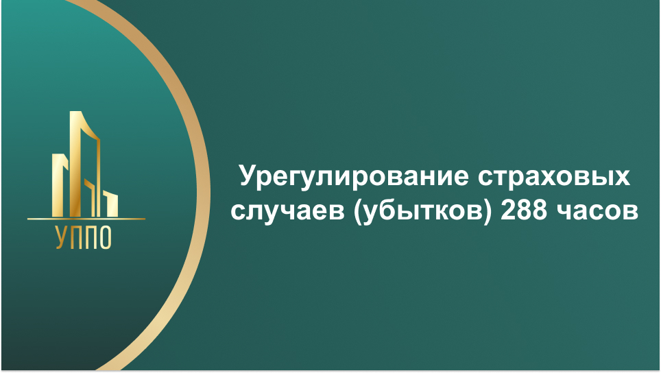 Урегулирование страховых случаев (убытков) 288 часов